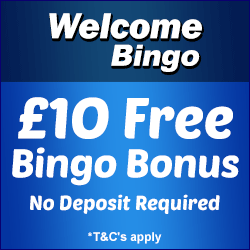 Online bingo free bonus